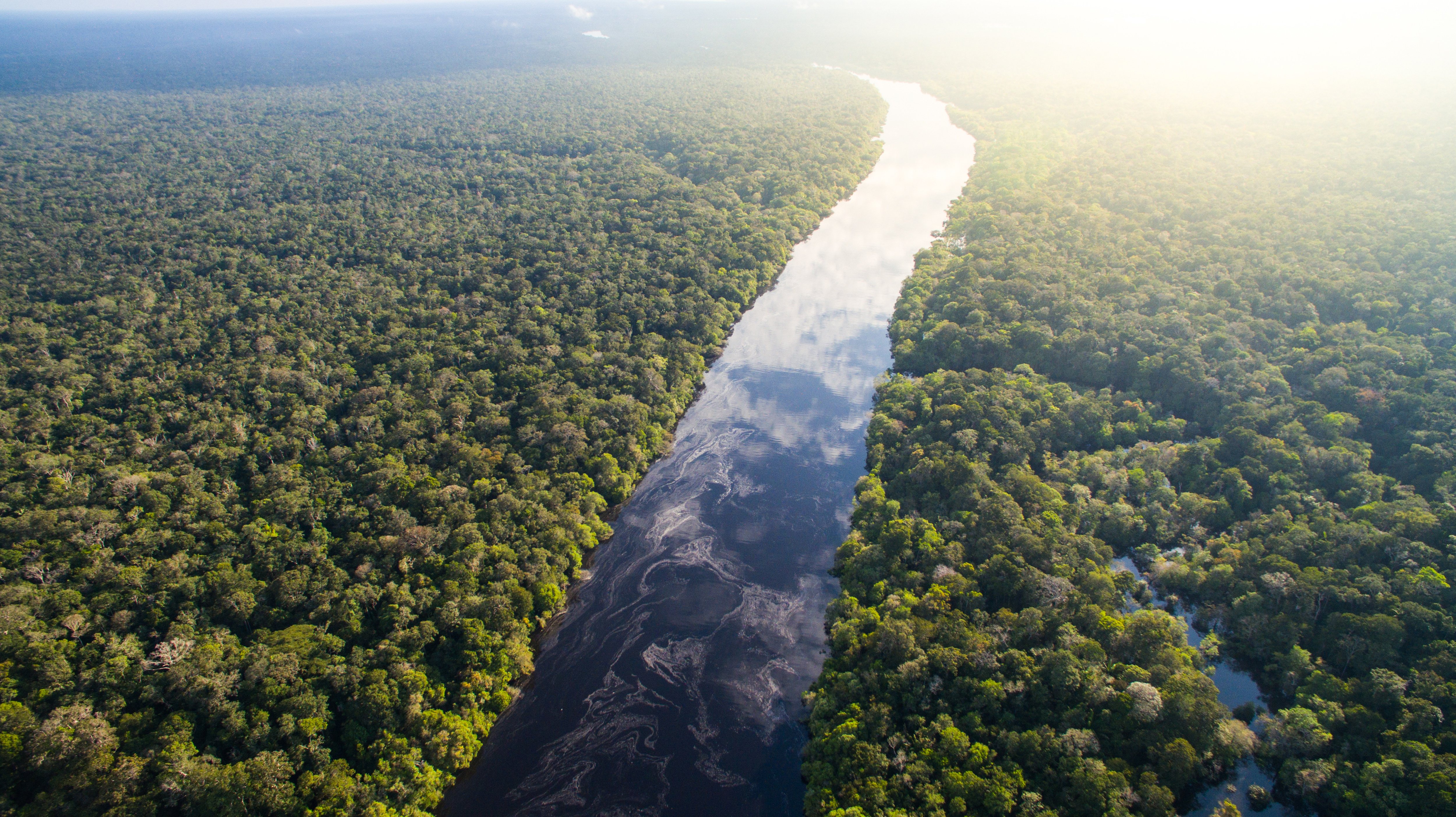 Amazon Rainforest in Brazil